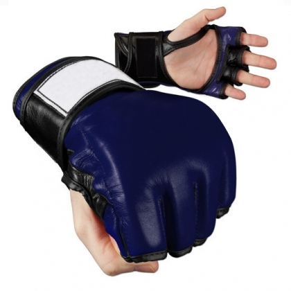 MMA Gloves